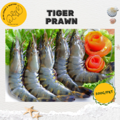 Alternative view of Fresh Tiger Prawn 鲜老虎虾 (500g/pack, 11 to 20pcs)