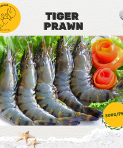 Alternative view of Fresh Tiger Prawn 鲜老虎虾 (500g/pack, 11 to 20pcs)