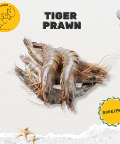 Fresh Tiger Prawn 鲜老虎虾 (500g/pack, 11 to 20pcs)