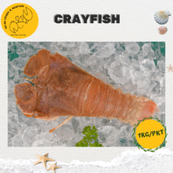 Big Crayfish 虾婆 (1kg/pack)