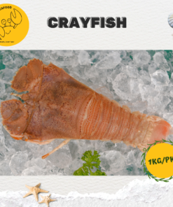 Big Crayfish 虾婆 (1kg/pack)