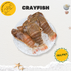 Alternative view of Big Crayfish 虾婆 (1kg/pack)