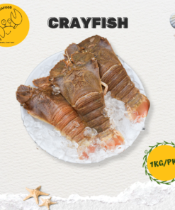 Alternative view of Big Crayfish 虾婆 (1kg/pack)