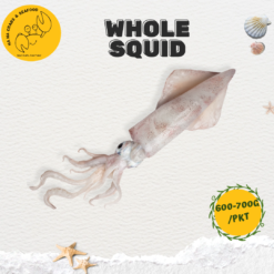 Whole Squid 整条苏东 (600g-700g/pkt)