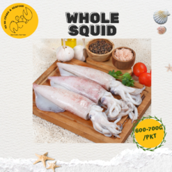 Alternative view of Whole Squid 整条苏东 (600g-700g/pkt)