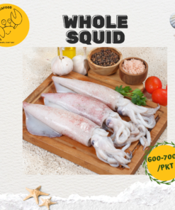 Alternative view of Whole Squid 整条苏东 (600g-700g/pkt)