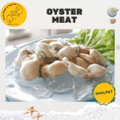 Oyster Meat 蚝肉 (300g/pack)