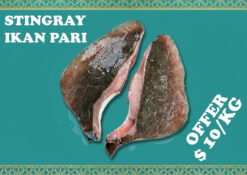 Stingray 方鱼 (850g-1kg/pack)