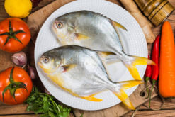 Golden Pomfret 金鲳 (Precut 400g-500g/pc)