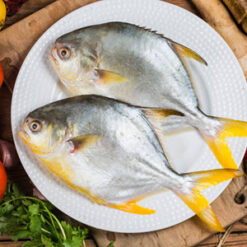 Golden Pomfret 金鲳 (Precut 400g-500g/pc)