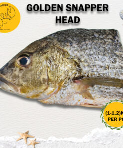 Golden Snapper Fish Head, Two Sides (Precut 1kg-1.2kg/pc)