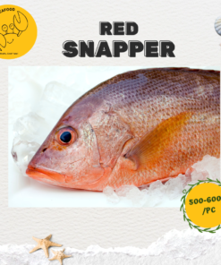 Alternative view of Red Snapper 红鸡鱼 (Precut 500g-600g/pc)