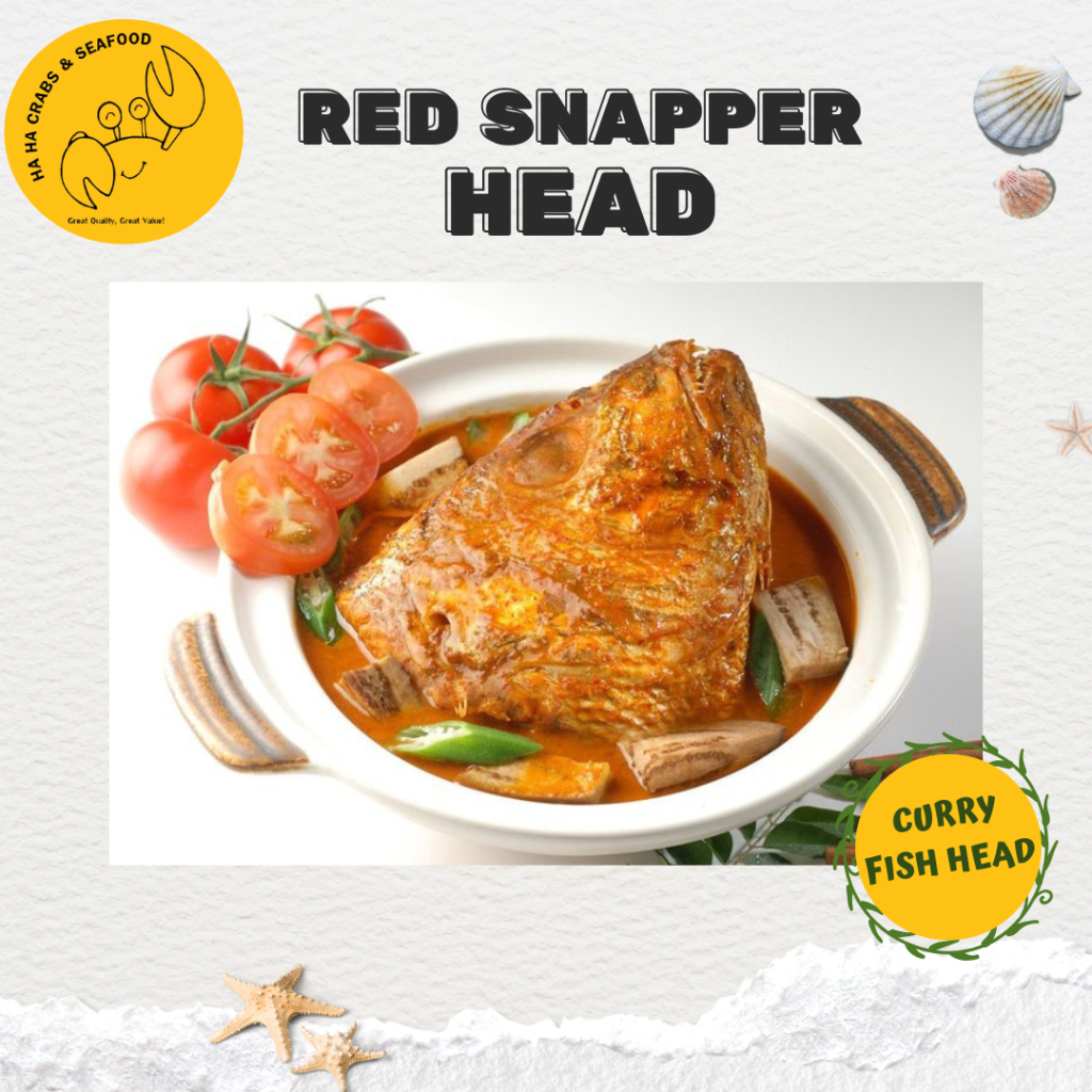 Snapper Fish Head (红鲷鱼头) | Ideal For Curry Fish Head