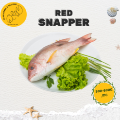 Red Snapper 红鸡鱼 (Precut 500g-600g/pc)