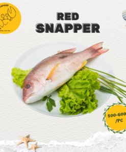 Red Snapper 红鸡鱼 (Precut 500g-600g/pc)