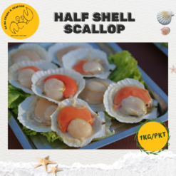 Alternative view of Japanese Half Shell Scallop 半边带子 (1kg/pack)