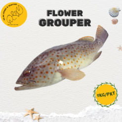 Alternative view of Flower Grouper 花斑鱼 (1kg/pack) (3-6 Pcs)