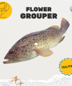 Alternative view of Flower Grouper 花斑鱼 (1kg/pack) (3-6 Pcs)