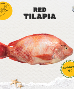 Red Tilapia 尼罗红 (500g-600g/pc)