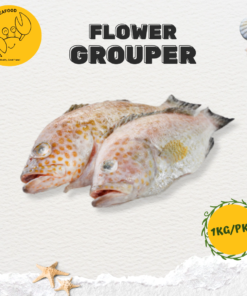 Flower Grouper 花斑鱼 (1kg/pack) (3-6 Pcs)