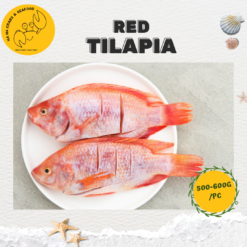 Alternative view of Red Tilapia 尼罗红 (500g-600g/pc)
