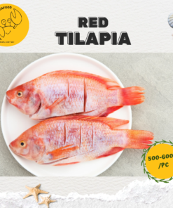 Alternative view of Red Tilapia 尼罗红 (500g-600g/pc)