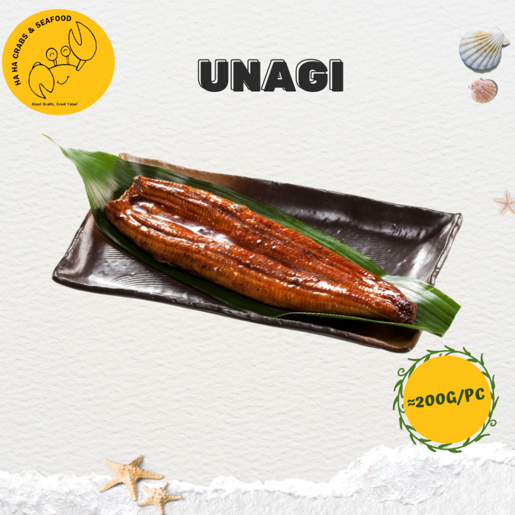 Unagi (Eel) | Perfect for Unagi Don & Sushi