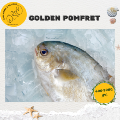 Alternative view of Golden Pomfret 金鲳 (Precut 400g-500g/pc)
