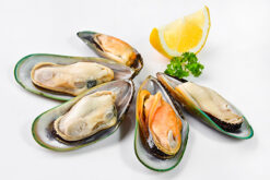 New Zealand Half Shell Green Mussels (1kg/pack) 新西兰半边青口贝