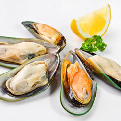New Zealand Half Shell Green Mussels (1kg/pack) 新西兰半边青口贝