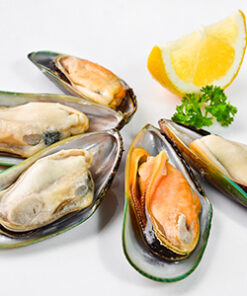 New Zealand Half Shell Green Mussels (1kg/pack) 新西兰半边青口贝