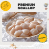 Scallop Meat, Big 大带子肉 (400g/pack)