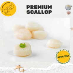 Alternative view of Scallop Meat, Big 大带子肉 (400g/pack)