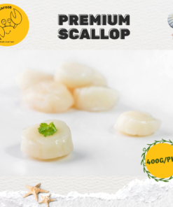 Alternative view of Scallop Meat, Big 大带子肉 (400g/pack)