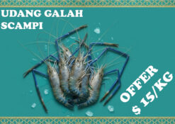 Scampi (River Prawn) 头虾 (≈1kg/pack)
