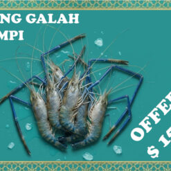 Scampi (River Prawn) 头虾 (≈1kg/pack)