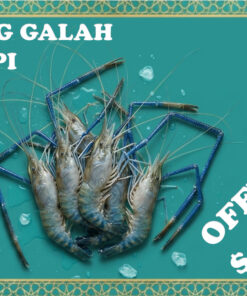 Scampi (River Prawn) 头虾 (≈1kg/pack)