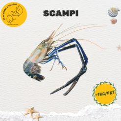 Alternative view of Scampi (River Prawn) 头虾 (≈1kg/pack)