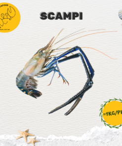 Alternative view of Scampi (River Prawn) 头虾 (≈1kg/pack)