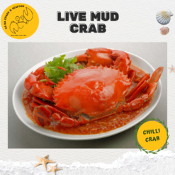 Alternative view of Small Live Mud Crab (200g-300g/pc)