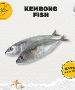 Kembong Fish ( 1Kg/Pkt ) (4 to 8 Pcs)