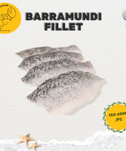 Barramundi fillet (Seabass fillet)