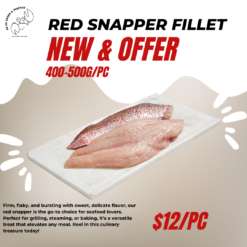 RED SNAPPER FILLET - 400-500G/PC