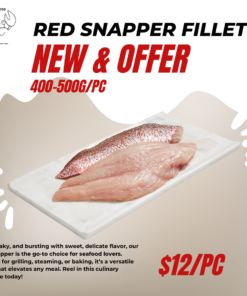 RED SNAPPER FILLET - 400-500G/PC