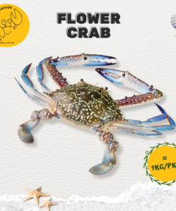 Flower Crab  花蟹 (900g-1kg/pack)