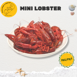 Mini Lobster (1kg/pkt)