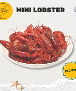 Mini Lobster (1kg/pkt)