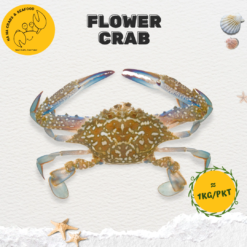 Alternative view of Flower Crab  花蟹 (900g-1kg/pack)