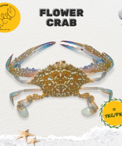 Alternative view of Flower Crab  花蟹 (900g-1kg/pack)
