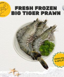 Fresh Frozen Big Tiger Prawn (500G/PKT)